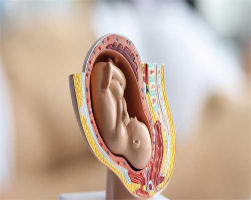 北医三院代生包性别价格囊胚提高成功率，北医三院代生包性别价格囊胚提高成功率多少钱？