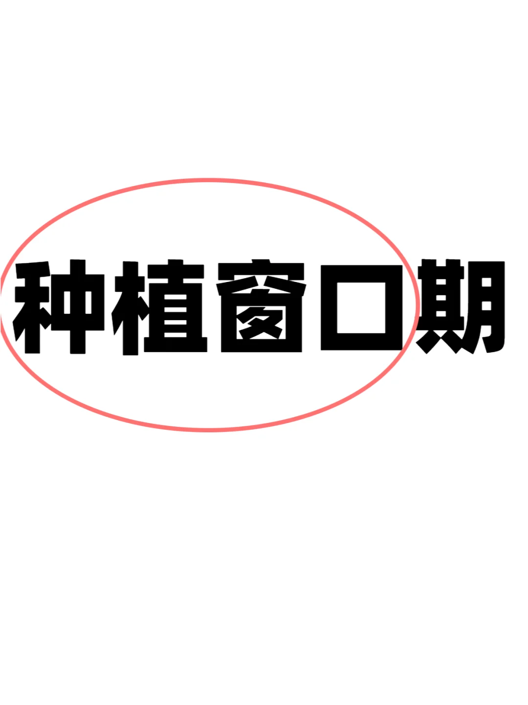 三代🧪优质胚胎不着床❓,专业的海外代孕